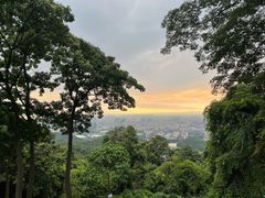 -广州市白云山风景名胜区