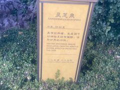 -大连金石滩绿发温泉假日酒店