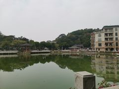-长洲岛