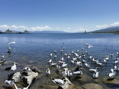 -青海湖国家重点风景名胜区