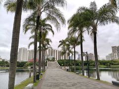 -南宁南湖公园