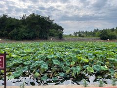 -东坡赤壁风景名胜区