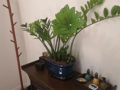 -泰·SPA泰式古法按摩(红山店)