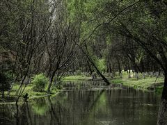 -长白岛森林公园