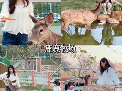 -盈香心动乐园