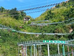 -长沙黑麋峰国家森林公园