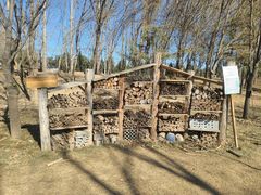 -安德鲁户外烧烤帐篷营地(马泉营店)