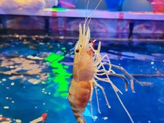 -钳真多钓虾馆·小龙虾海鲜烧烤(九六广场店)