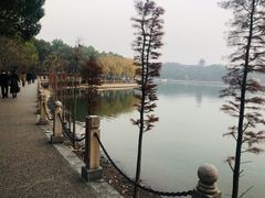 -天目湖山水园