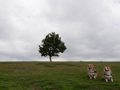 -钟山体育运动公园