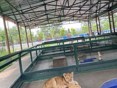 -秦皇岛野生动物园