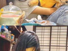 -逗柴咖啡屋·狗咖猫咖宠物桌游