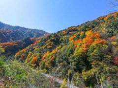 -秦岭风景区