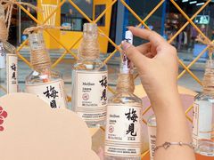 -VT101维多利广场