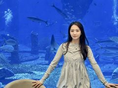 -OSSIANO奥西亚诺海底餐厅