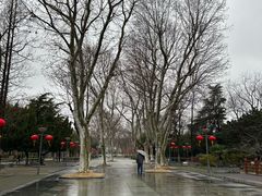 -泰州凤城河风景区-泰山公园