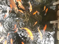 -上海大自然野生昆虫馆(东方明珠·爬宠昆虫探索中心)