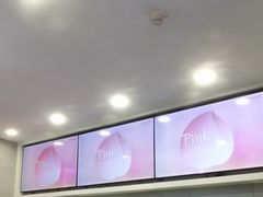 -雾与山茶(大禹城店)