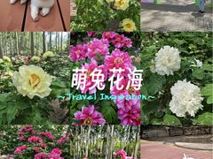 -仁和公园(顺义区)