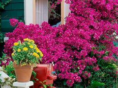 -乐彩照相馆(爱国北里店)