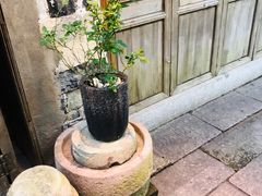 -紫阳古街