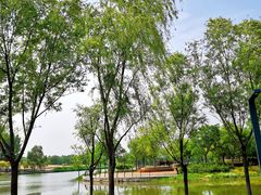 -东郊湿地公园