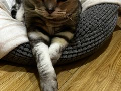 -紫滇源云南生态菜(丹凤街店)