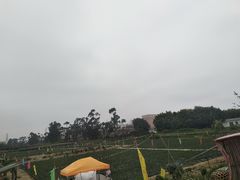 -谷村寿司(同福路店)