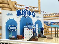 -秦皇岛乐岛海洋王国
