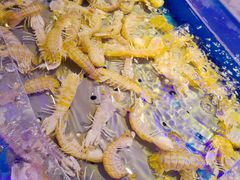 -澜悦港海鲜体验主题餐厅