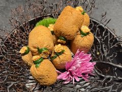-大拙里·精致融合菜(沙湖桃源国际店)