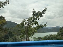 -四明山国家森林公园