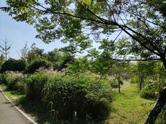 -梁鸿国家湿地公园