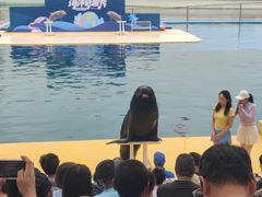 -秦皇岛乐岛海洋王国