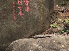 -火炉山森林公园