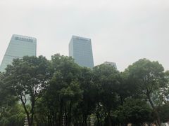 -重庆市江北嘴中央商务区中央公园