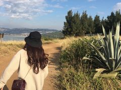 -漳州滨海火山岛自然生态风景区