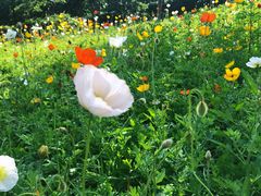 -南通洲际绿博园