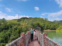 -广州白江湖森林公园