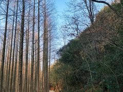 -小格里自然风景区