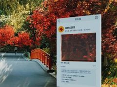 -青枫公园
