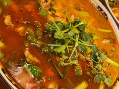-苏渝汇重庆江湖菜(桐泾公园店)