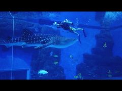 -成都浩海立方海洋公园