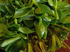 -慢丽江·云南野生菌土鸡锅(西山店)