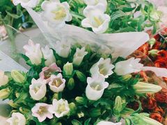 -循礼门鲜花花市(武汉循礼门店)