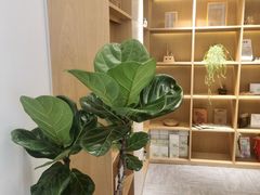 -左悦·艾灸调理·推拿按摩·精油SPA(卓悦汇店)