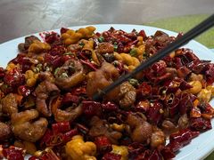 -铁山坪森林公园