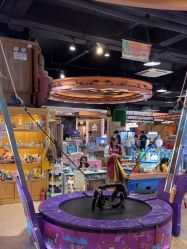 -卡通尼·Safari非洲探索乐园·生日会(金桥国际商业广场店)