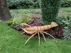 -上海共青森林公园