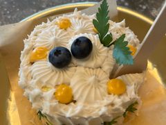 -野草莓自由市场